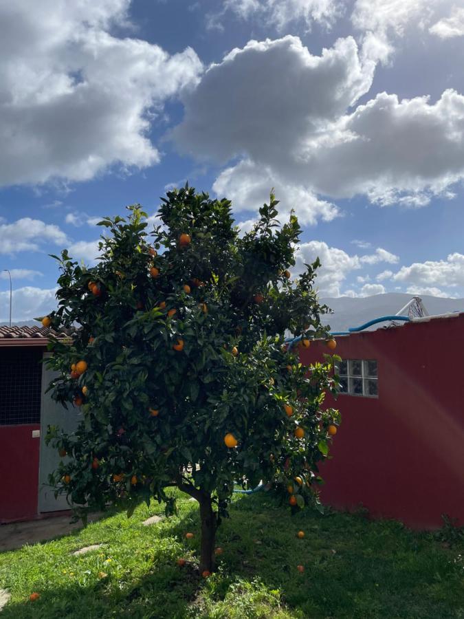 Chalet Casa Con Piscina En Arbo Vigo מראה חיצוני תמונה